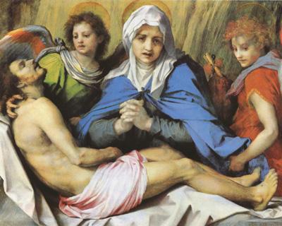 Andrea del Sarto Pieta (mk08) Germany oil painting art